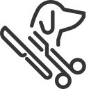 Post-Surgery Recovery