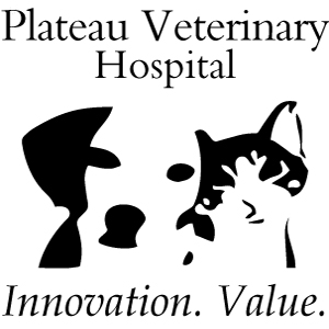 Plateau Veterinary Hospital: Veterinarian Animal Hospital in Bend, OR |  Plateau Veterinary Hospital
